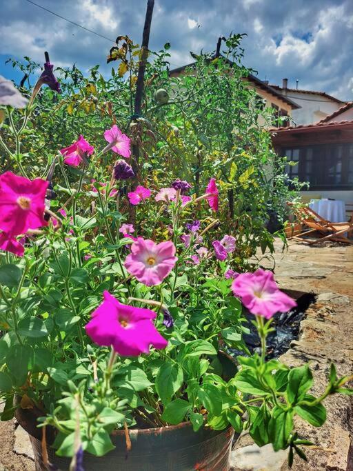 Panthea Cottage Ставруполис Экстерьер фото